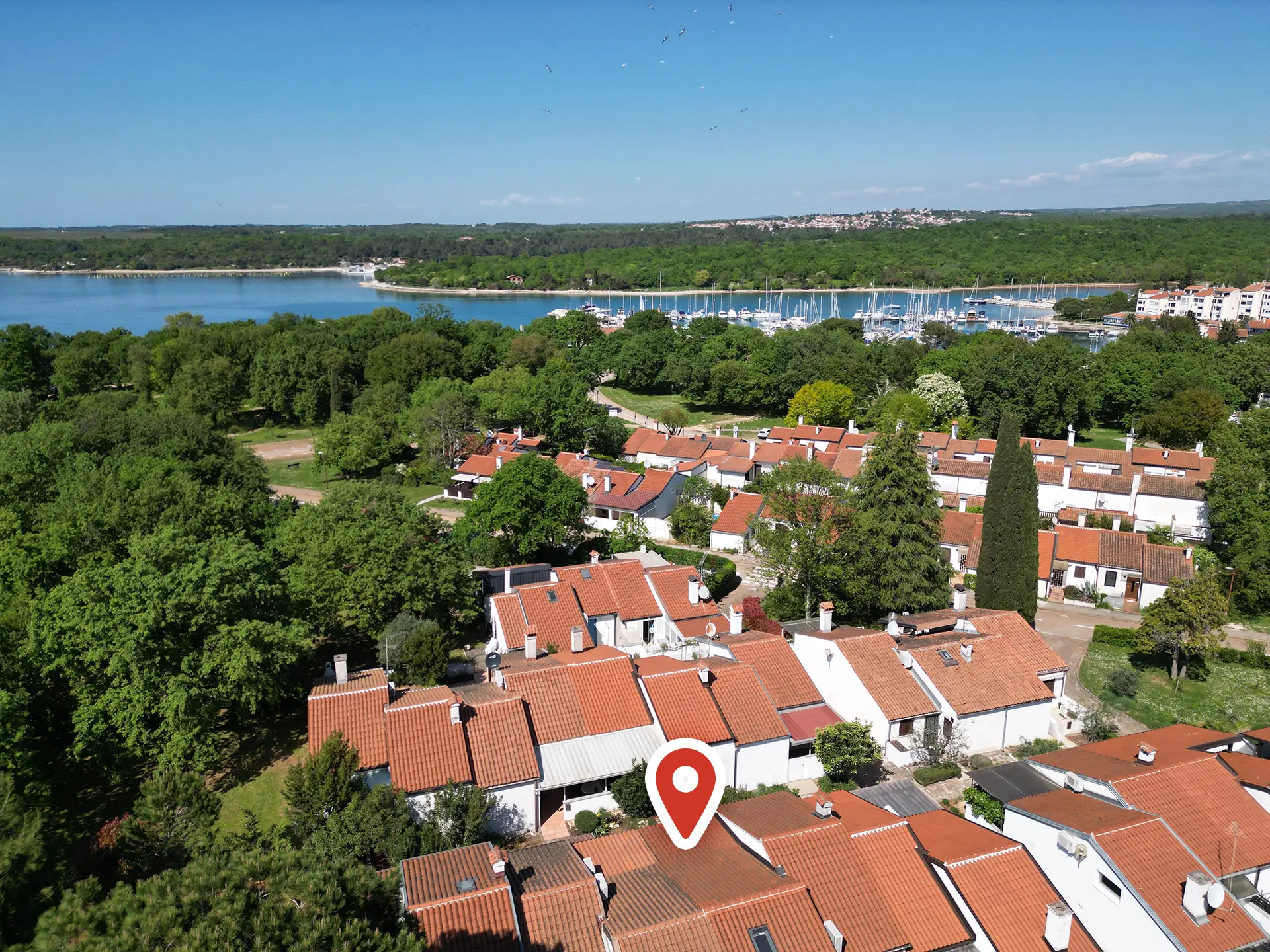 cervar porat runa location
