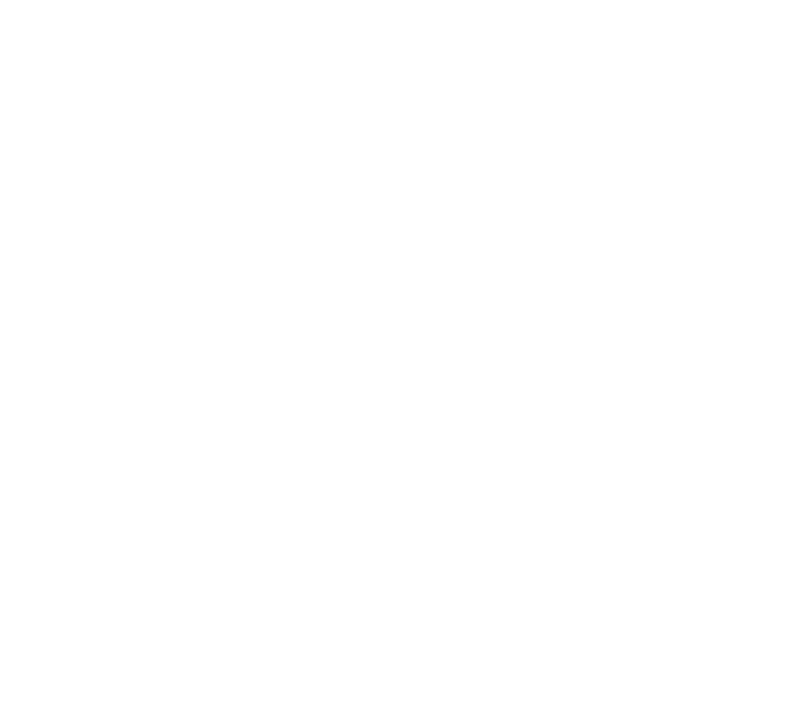 ico heart w