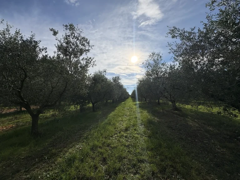 cervar-porat-nature3