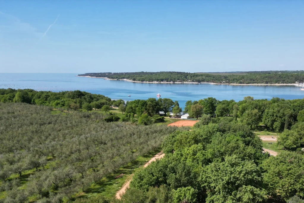 house-for-rent-porec-cervar-porat-istra-nature